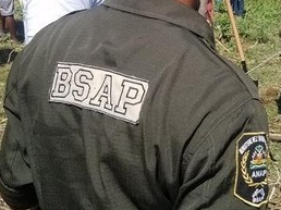 Bsap