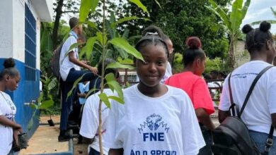 Fondation