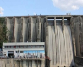 Peli
