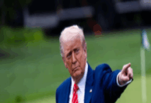 Bonne
